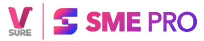 VSure SME Pro
